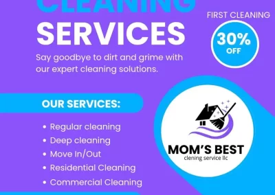 Best Home Cleaning Services