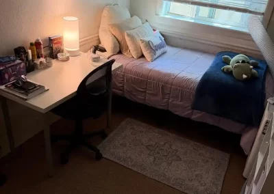 Home Cleaner